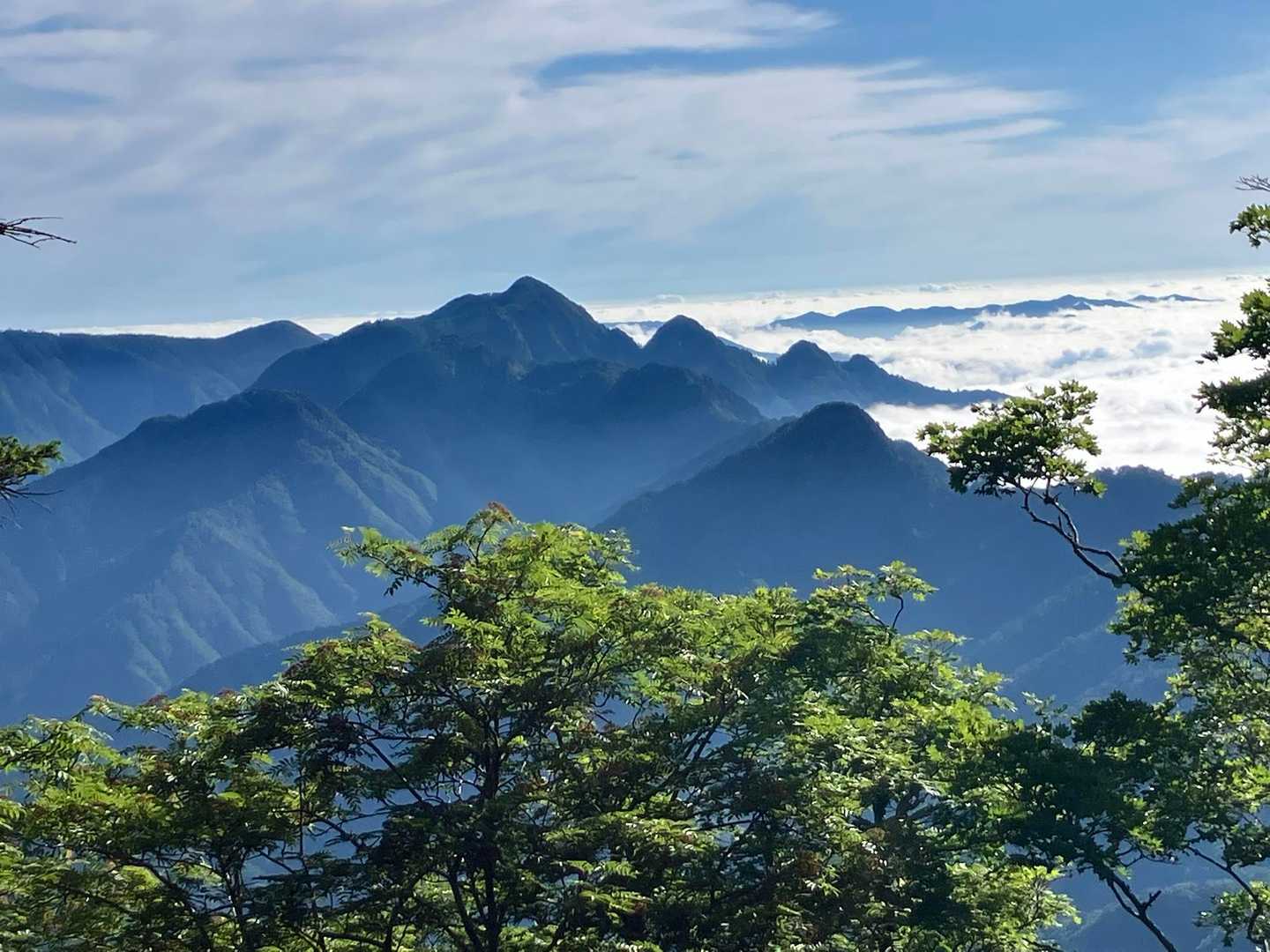 視界が開けました。あの山々は大普賢岳かな。1,500m付近から大雲海ですね。