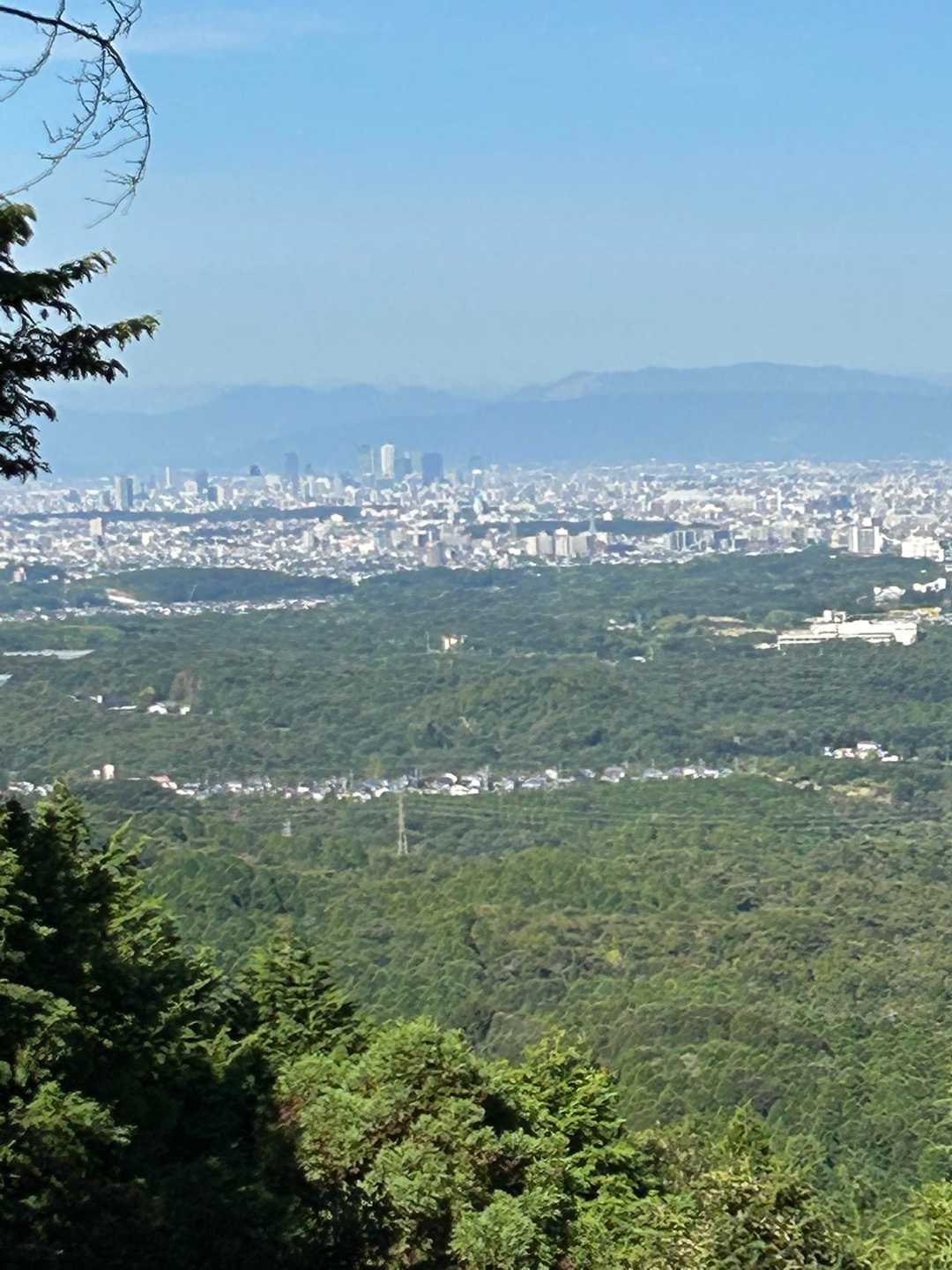 名古屋ビル群🏙️