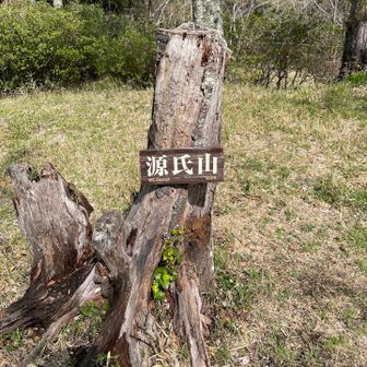 下の公園にはちょいちょい来るけど、ここまでは意外に来ない源氏山の頂上