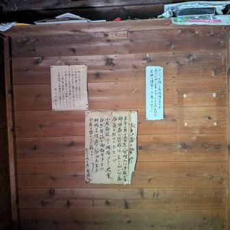 年季入ってるなあ
