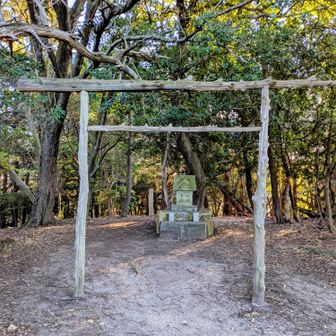 もう山頂に着いたのかな？🙂