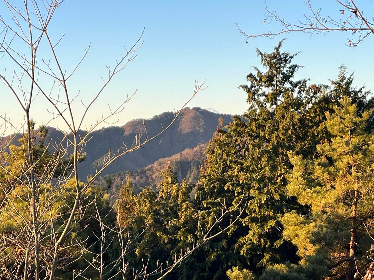 ちょこっと富士🗻