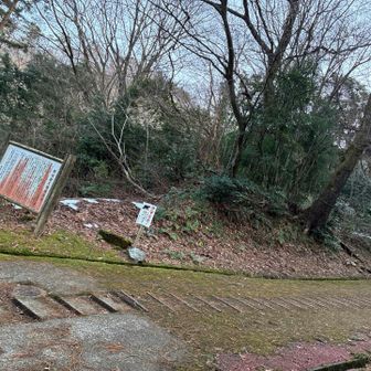 ココに出てきました😅