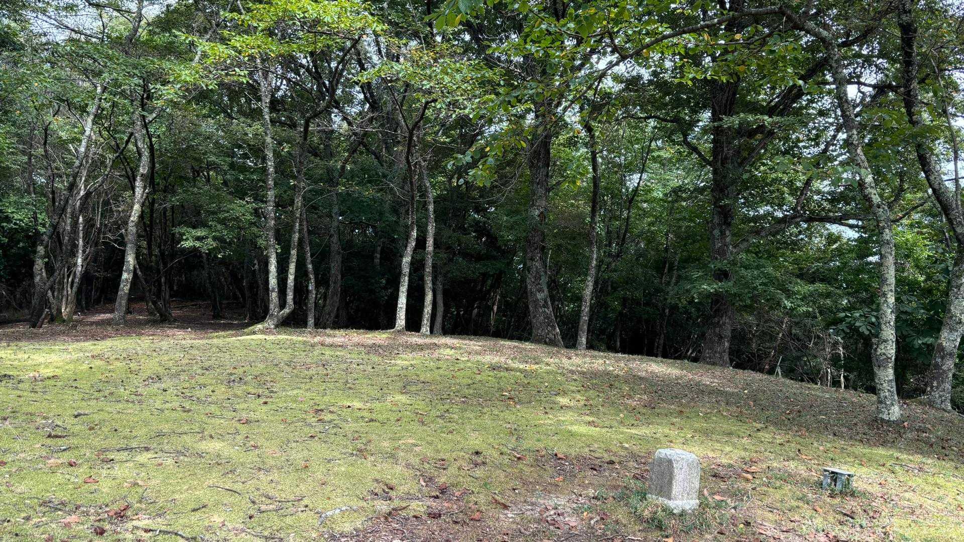 結構山頂が独特で、まるーく広場というか大広間という感じ😊