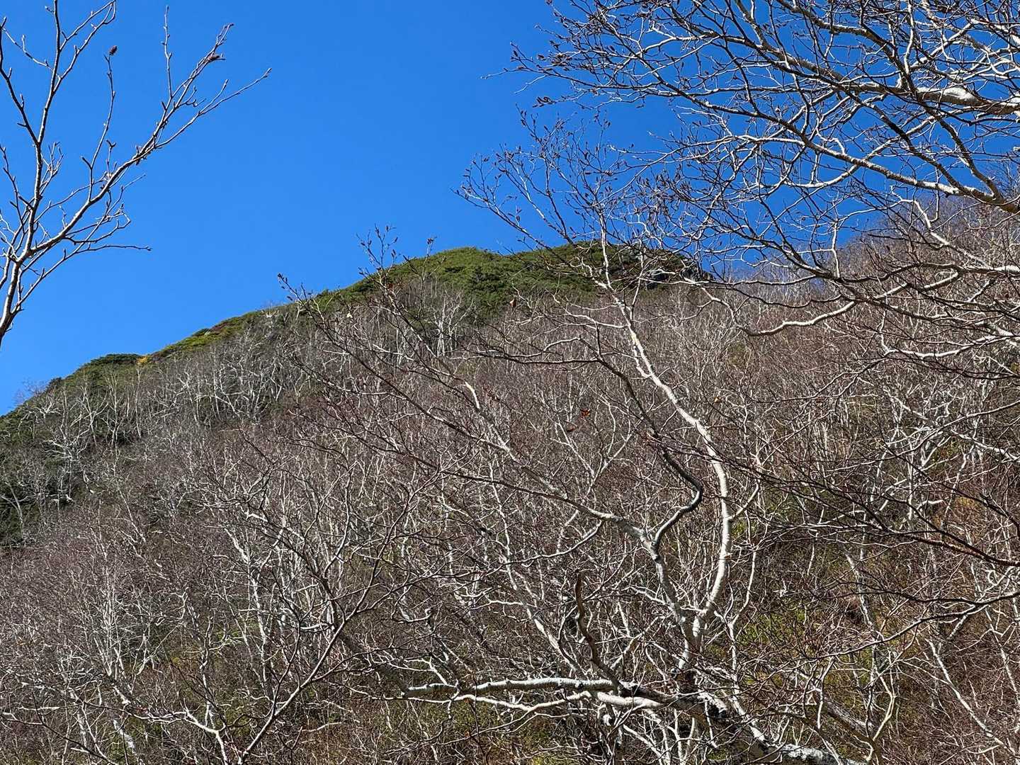 餓鬼の山頂が見える。
この青天井が続いていることを願って