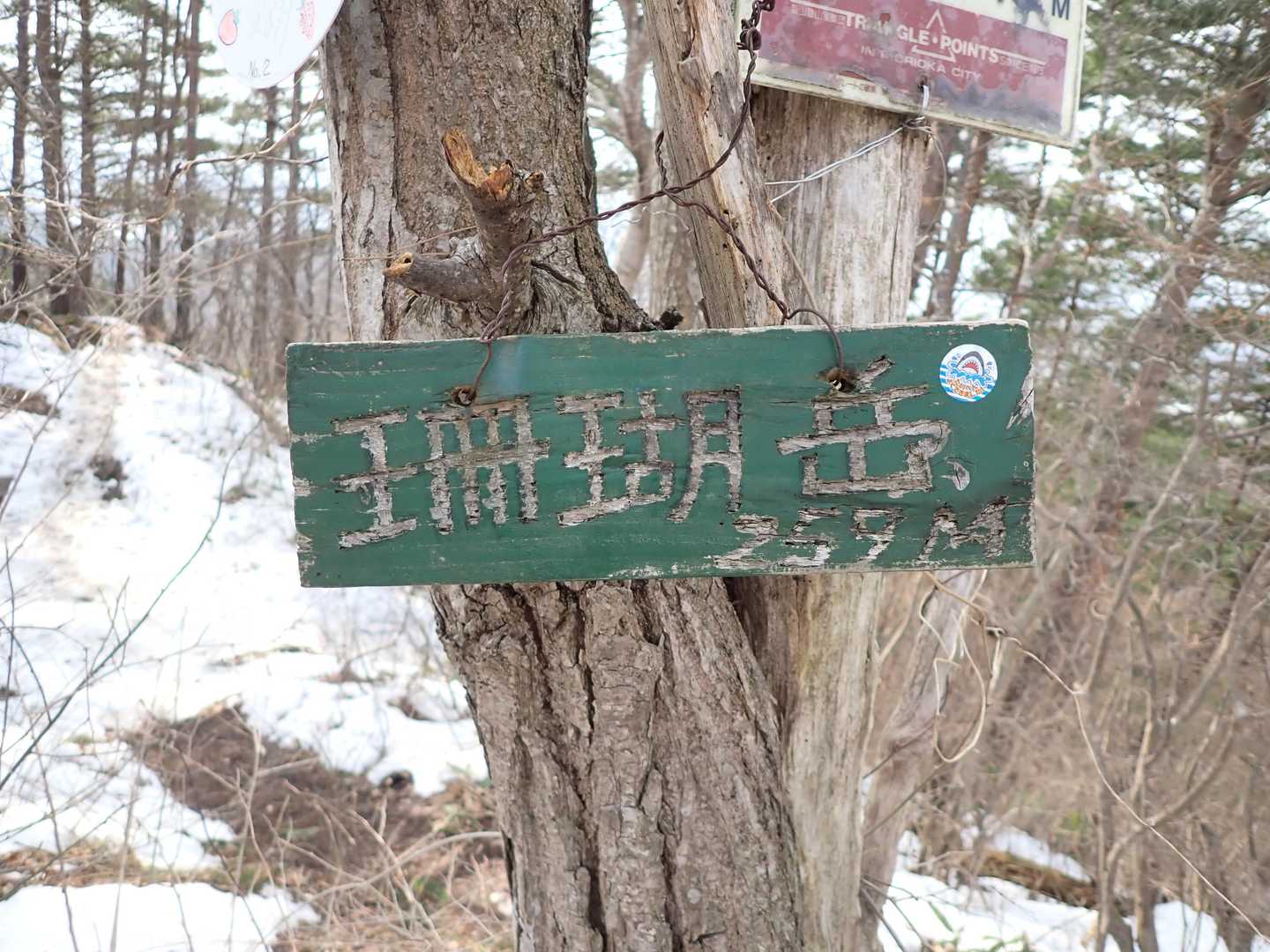 珊瑚岳 周回コースの写真