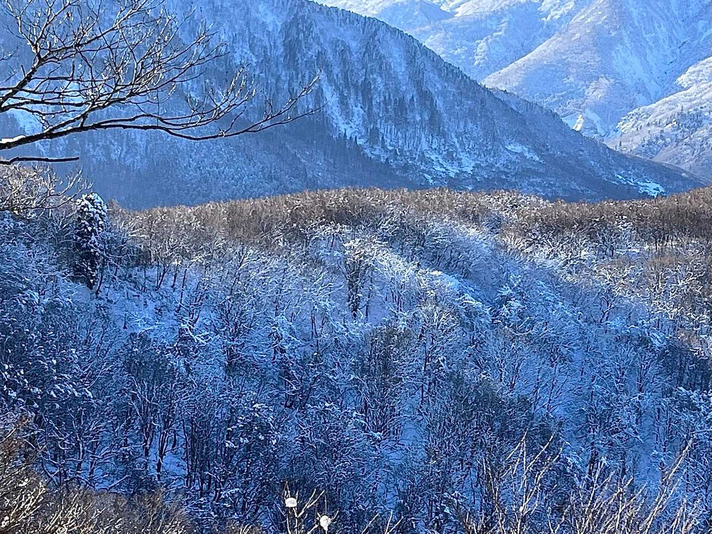 戸倉山登山口-白池-戸倉山 往復コースの写真