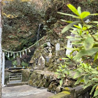 この奥で滝行するらしい