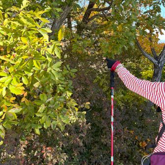 つぎのピークもどーこー？
ゆうゆうさん、発見👀