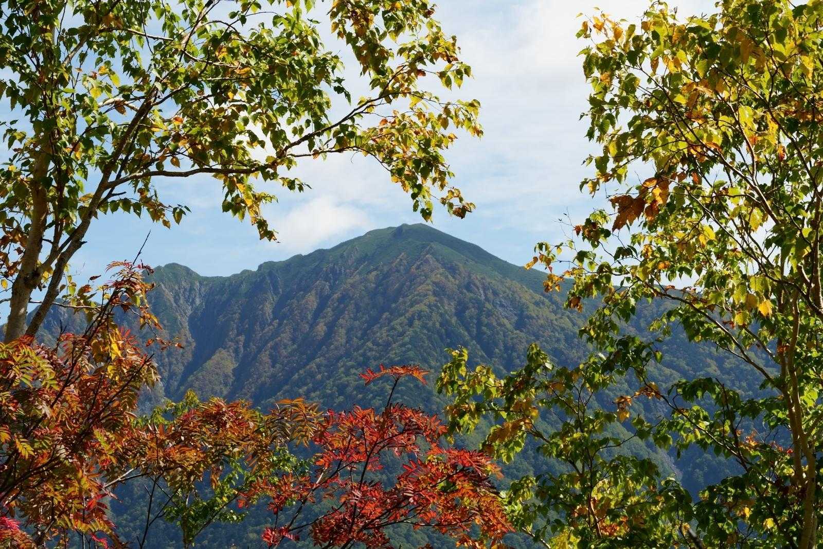 木々の間から覗く霞沢岳