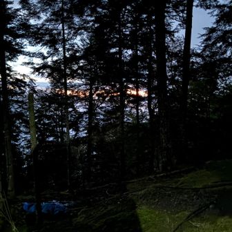 やっと夜が明けた。