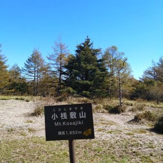 登り返して
小桟敷山…展望はないが広い！