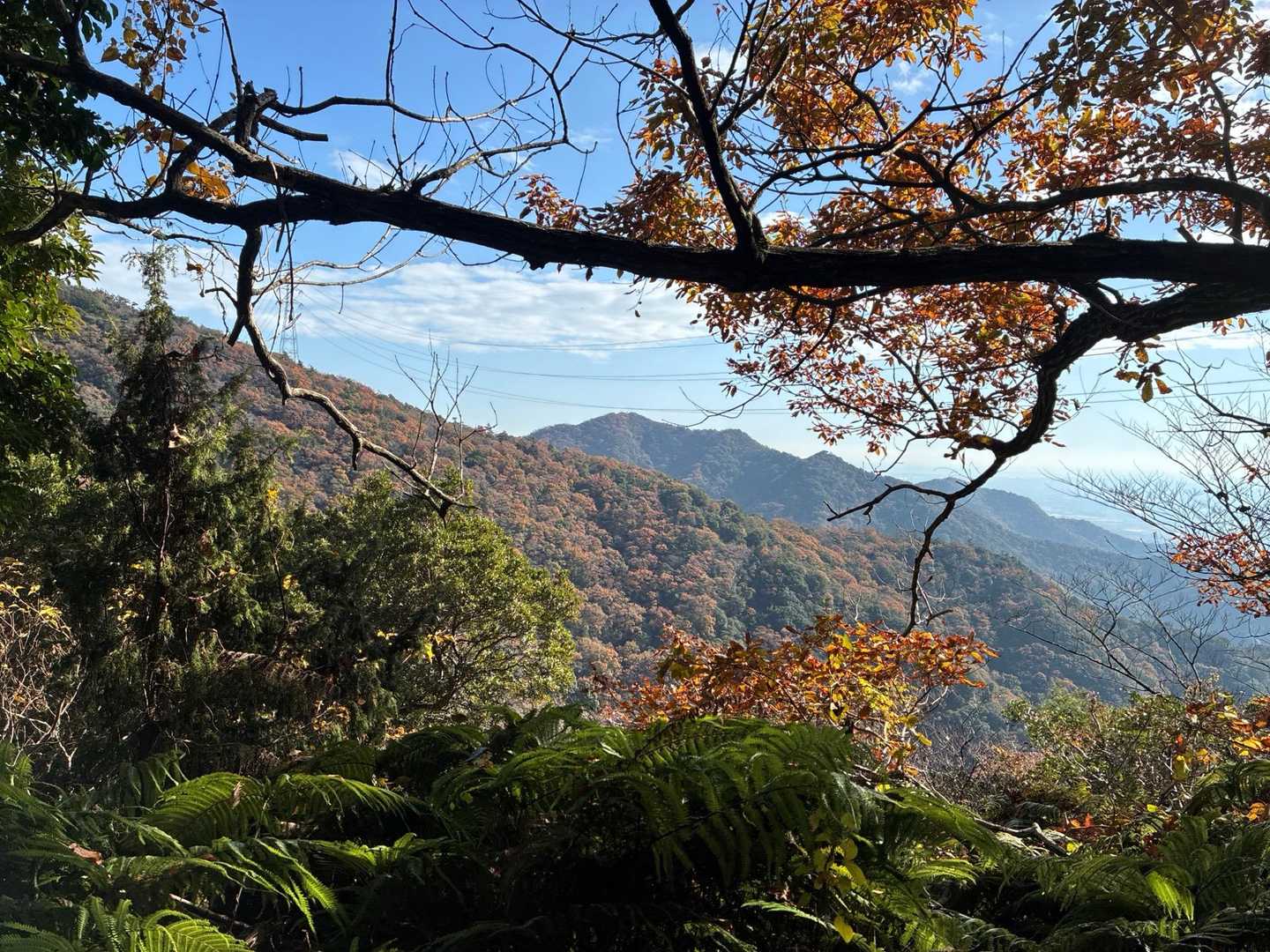 山燃えるは秋の季語🍂！