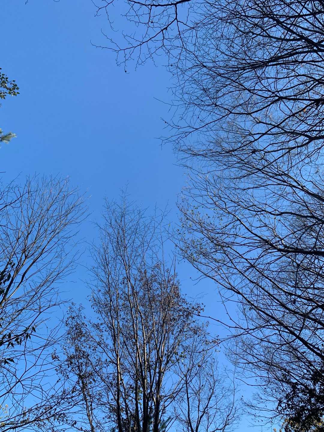 素敵な青い空