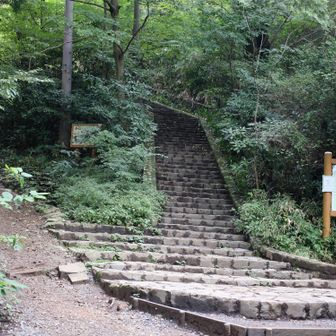 山頂へ向かう石段登らず左の巻き道へ