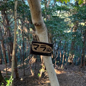 ３つ目〜・・・