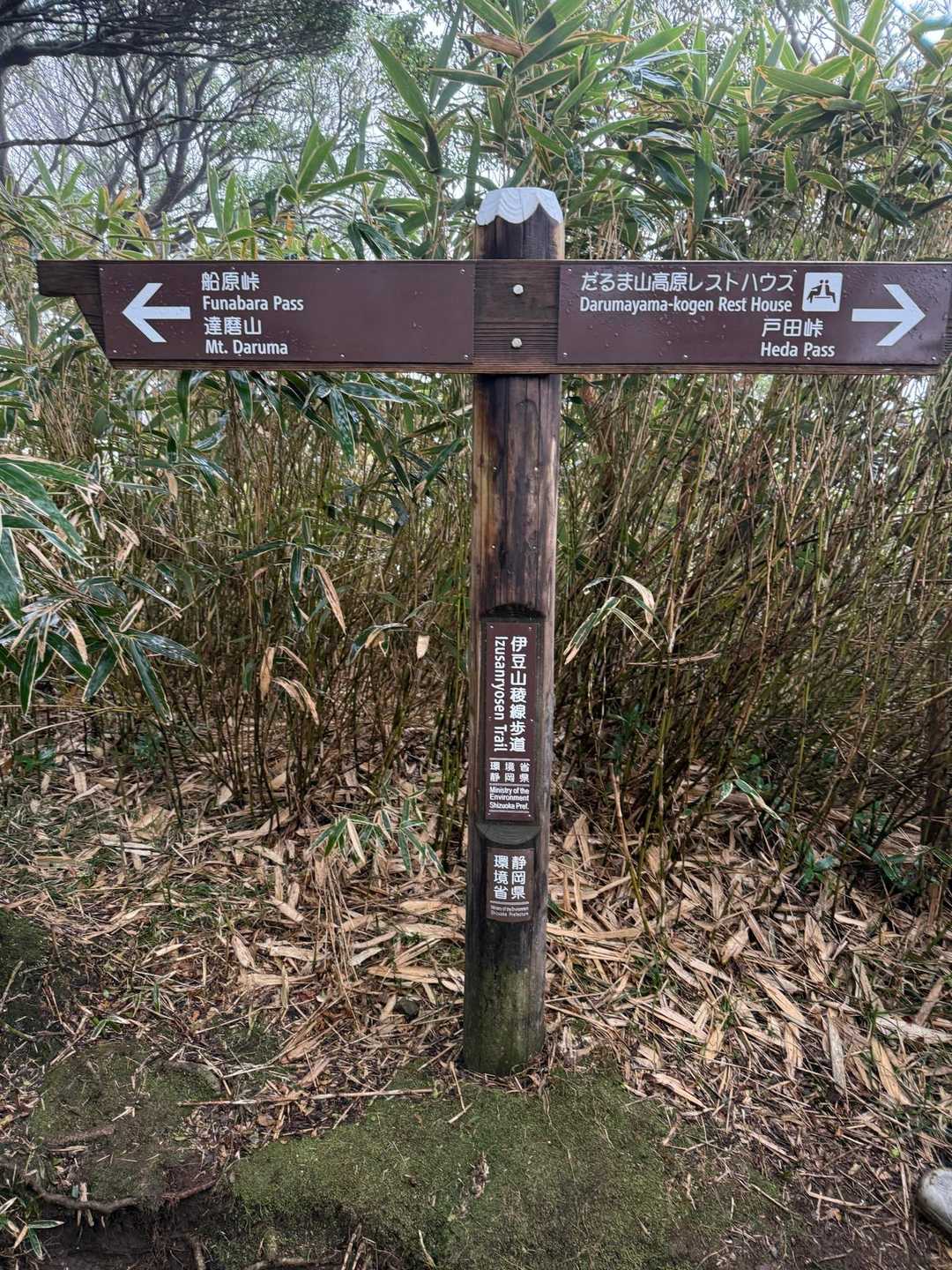 達磨山に向かう予定でしたが、天候が悪く小達磨山に向かう