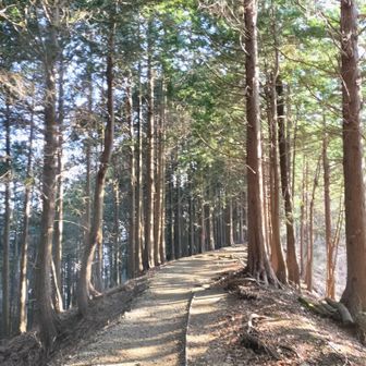 見晴茶屋さんでチーズケーキを...🤭
と思ったらお休みでした😭
ならば！コーヒーあん♪と思ったら、
観音茶屋さんもお休み😱

また来る理由ができた✨
2026年のお楽しみにします🤗
(理由なくても来るけどね♪)