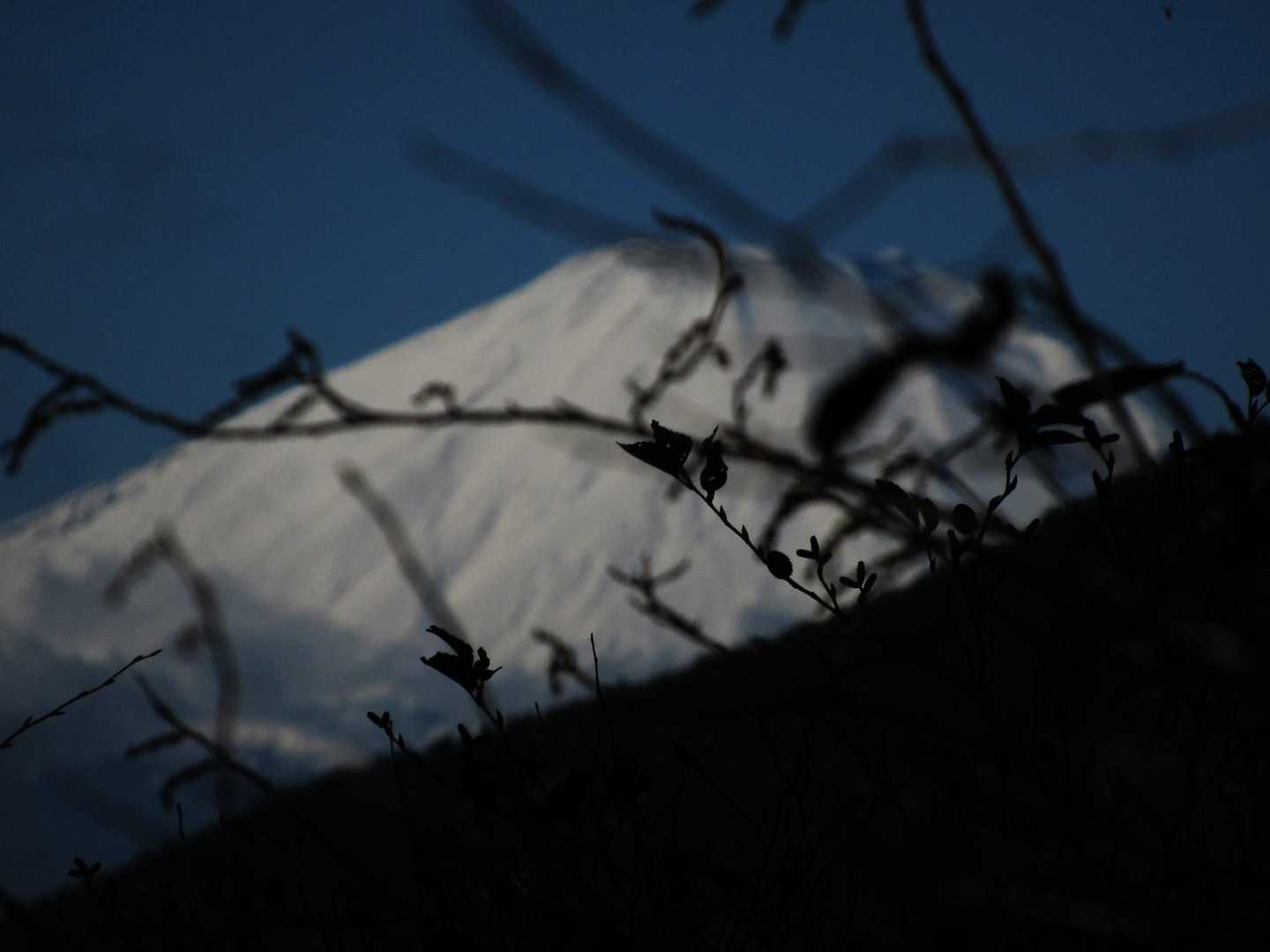 イタツミ尾根から見えた富士山🗻
山頂で富士山🗻を拝めると思っていましたが、
完全に雲隠れ！