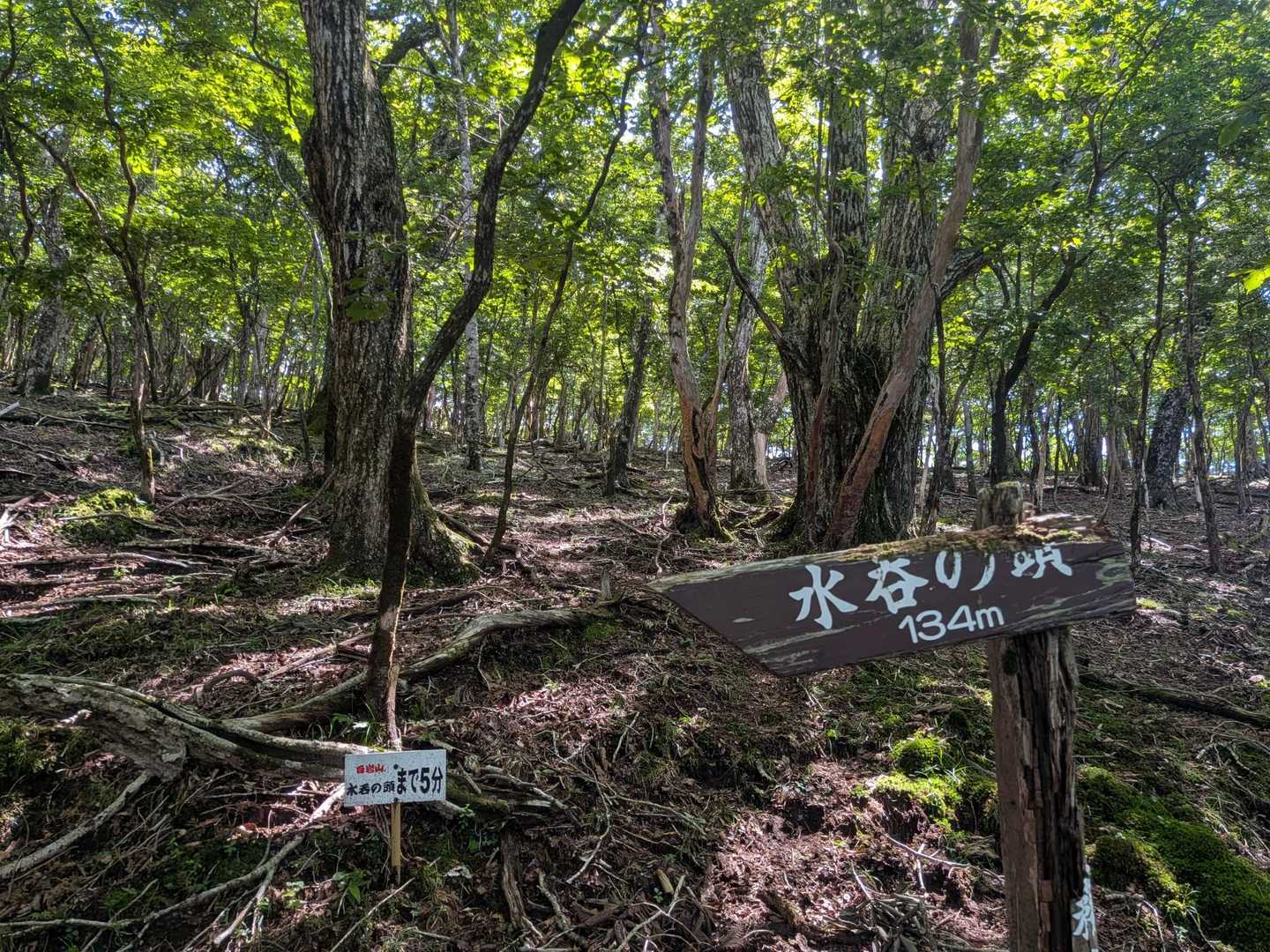 水呑の頭まで5分!!