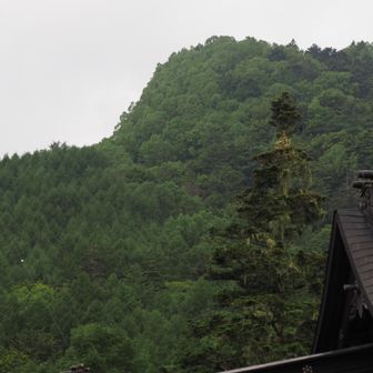七面山頂