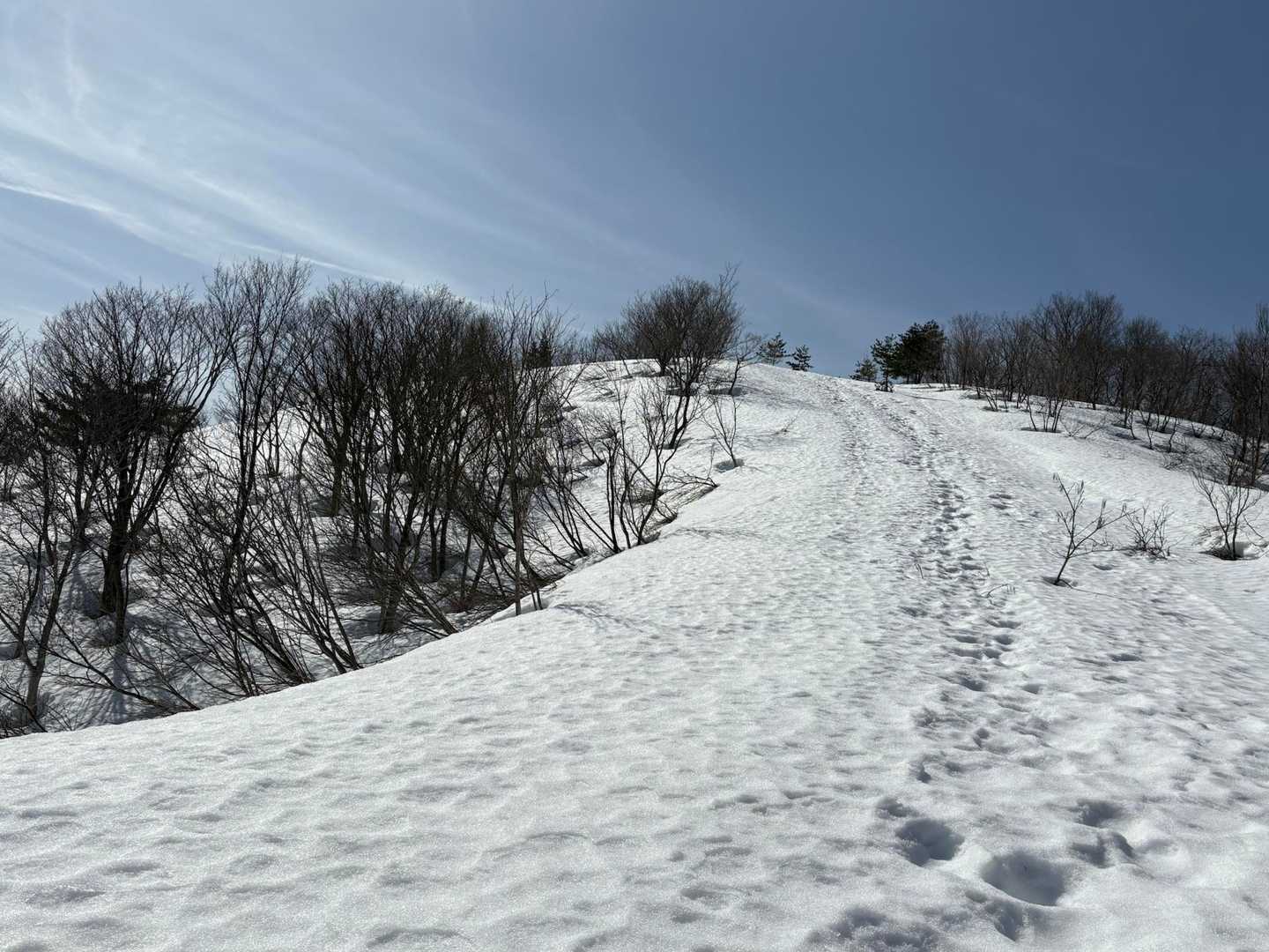 グチる相手無しって…キツイわ…😞