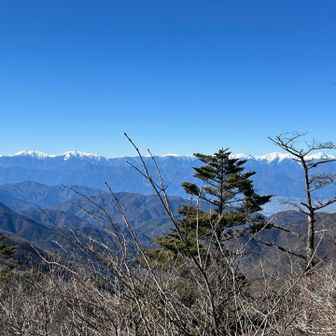 南アルプスかな。釈迦ヶ岳側に行くとアルプスがよく見えるそうでうずうず