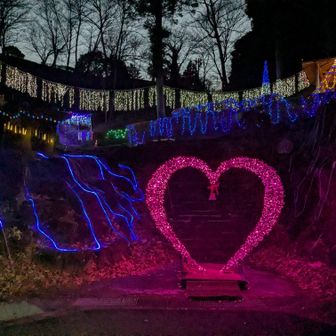 第2駐車場はすっかり日が暮れ、綺麗なイルミネーションが🤗