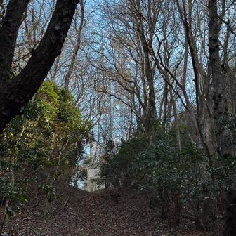 アンテナ見えてきた📡