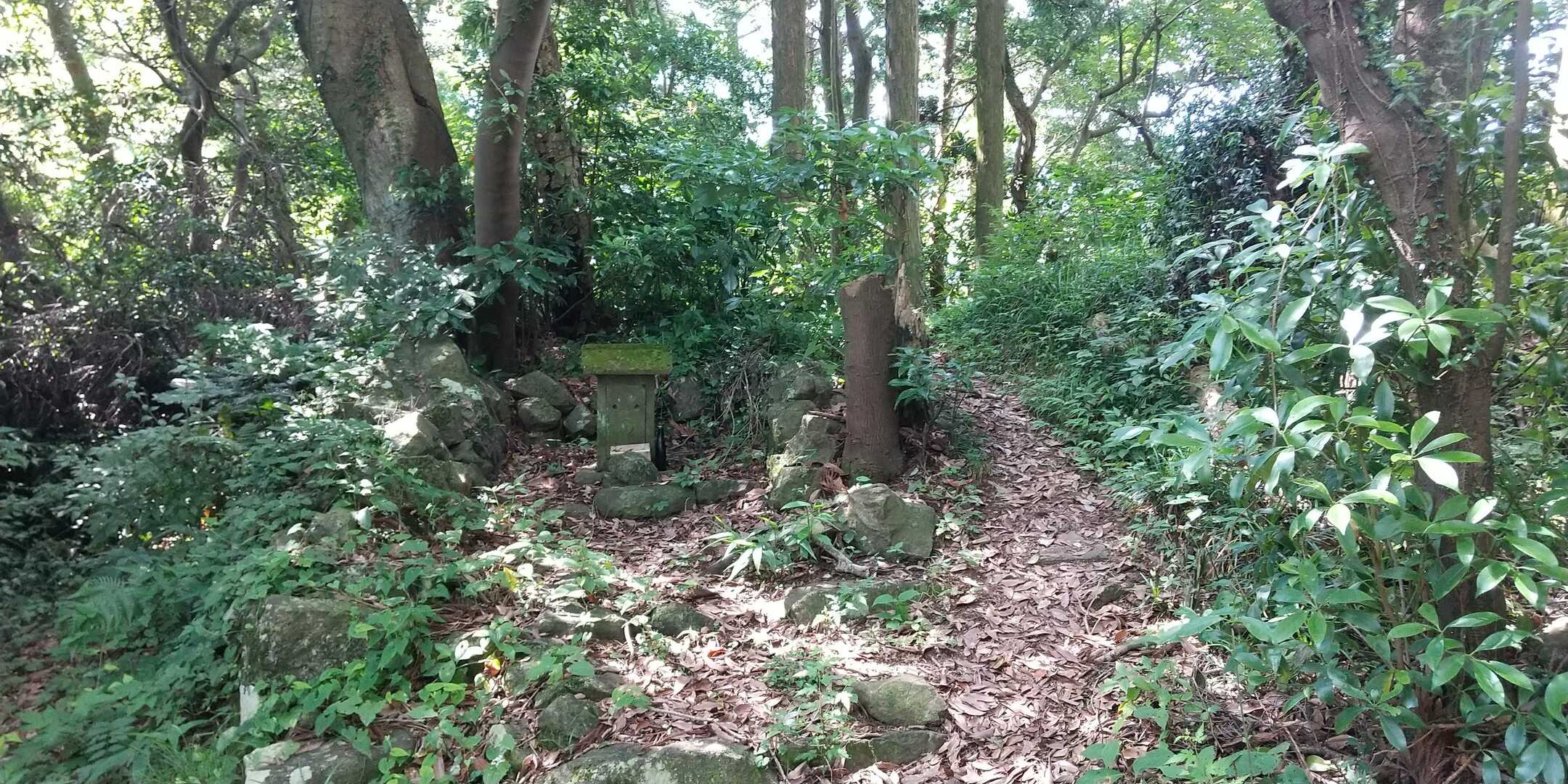 丸子富士の写真