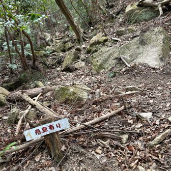 さあ、本流へ
なになに、「急登有り」？
こんなの、これまでの数々の急登に比べれば‥
とはいうものの効くー