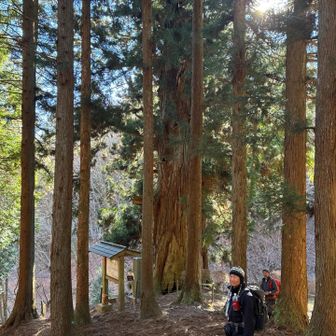 矢立の杉
武士が矢を射立て戦勝を祈願した杉