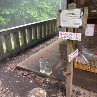 水運び完了💪