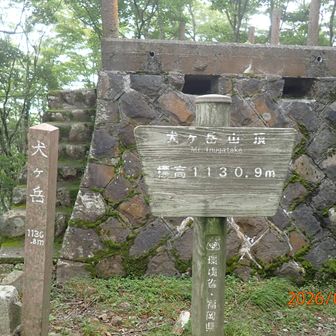 山頂着。