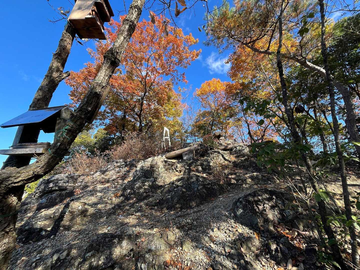 山王山（さんのうやま）山頂見えてきた！