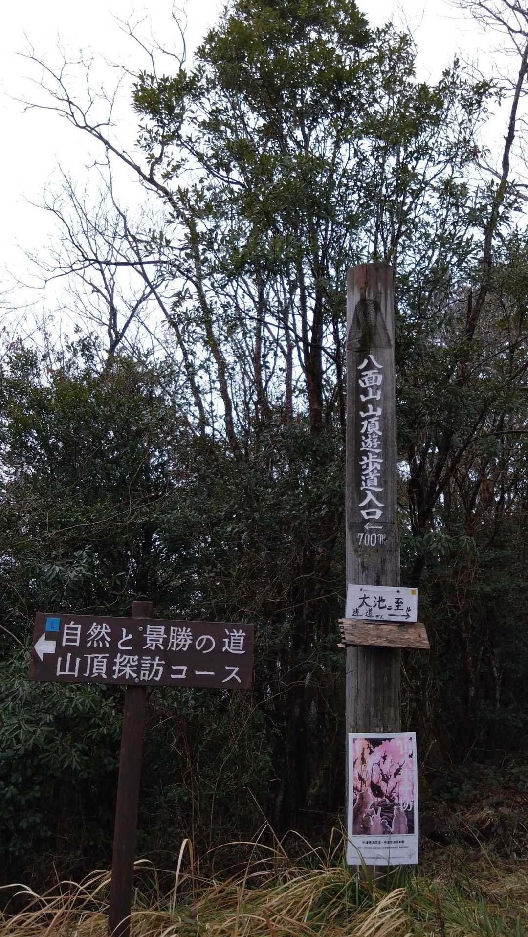 ٩(.^∀^.)งLet's go‼️