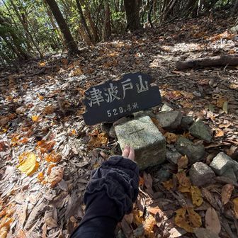 三等三角点にタッチ❗️