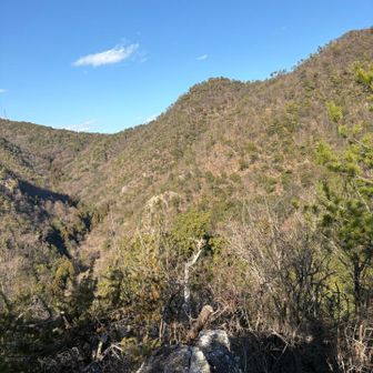 山頂からの景色