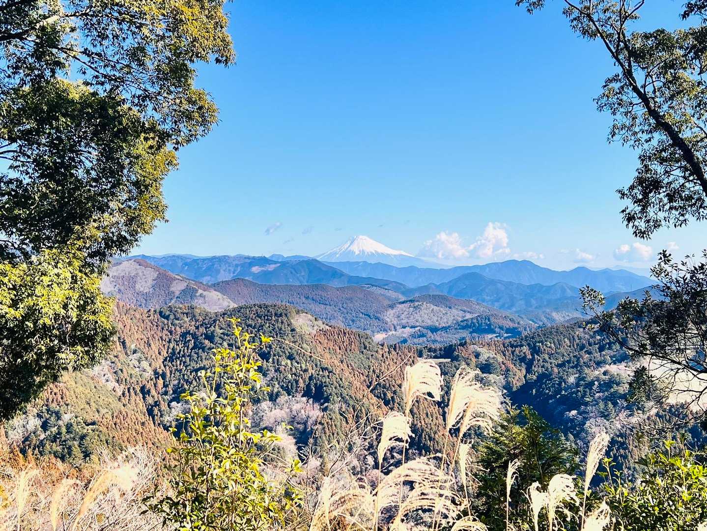 トイレ奥から富士山ビュー