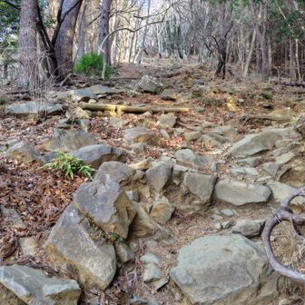 急峻が続きます
キツい🥹