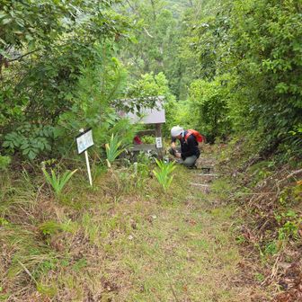 娘地蔵様 
小動物に荒らされていたのでカロリーがお片付け。（←手伝えって💦）