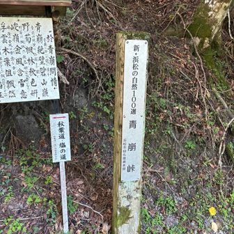 新・浜松の自然100選だそうです。
てか、残りの99選と旧100選はどこ・・・🤣