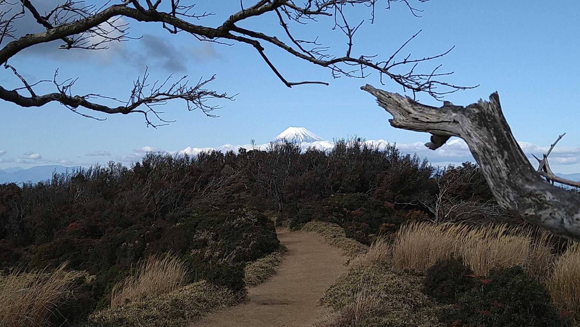 🗻の上を望むと西方へ向かう✈️の姿も👀(写ってはいませんが…😅)