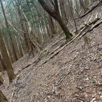 焙烙山ラストの急斜面には驚き‼️