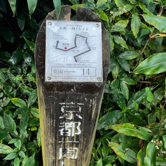 ここが1番わかりなくかったな（横断歩道もないし）