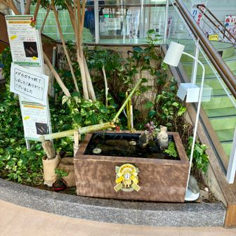 ゆうあいの湯♨️迄戻って来ました！
正月仕様🎍