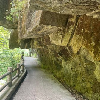 遊歩道を歩いていきます