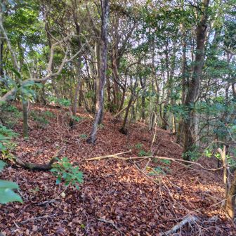 初めて登るグレーピーク片木山正直迷いました😅