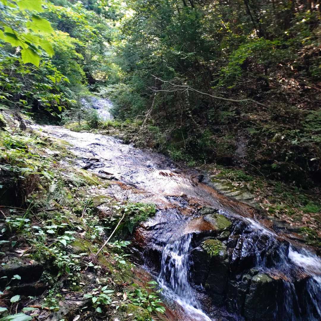 白川登山口-窓ヶ山西峰-仏峠-向山 縦走コースの写真