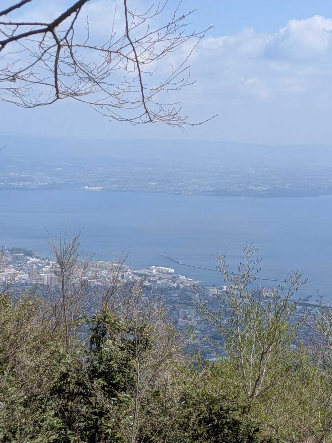 別府湾を望む